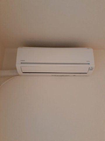 イースト　ワン　ハルズのその他