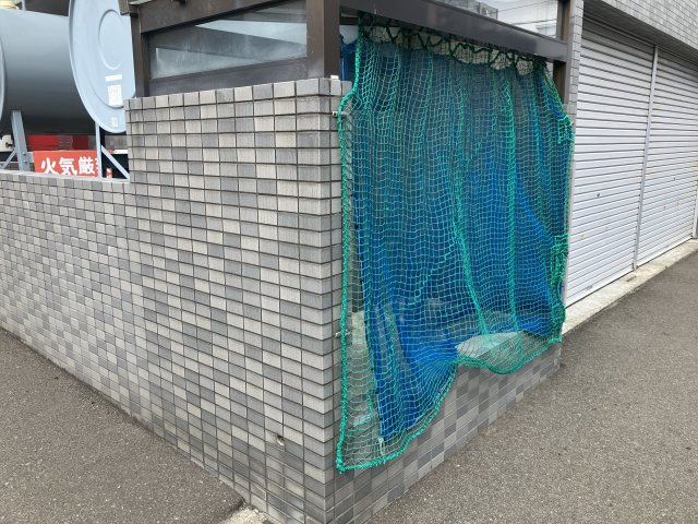 【その他】ノイ・ズイッヒ 