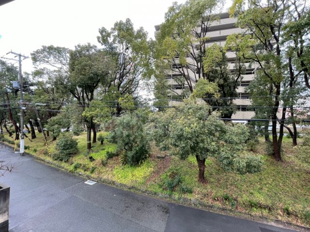 D-room北斎の展望