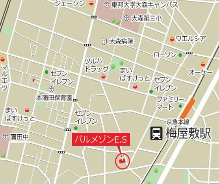 パルメゾンESの地図|地図