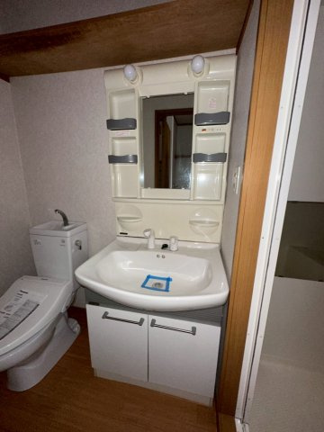 セレブ岡本の洗面所