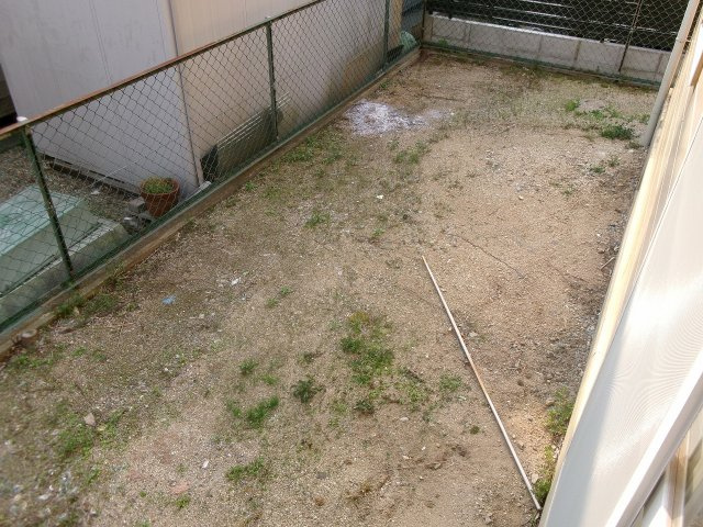 ウィンズ壱番館の庭