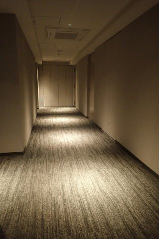 ブランシエスタ白山のその他共用部分