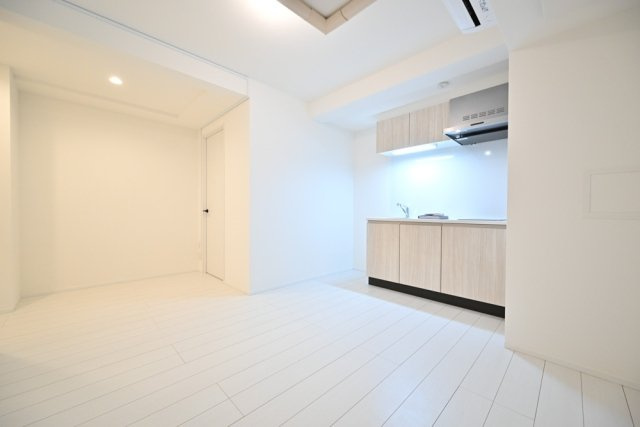 Ｔｈｅ　Ｒｅｓｉｄｅｎｃｅ　Ｎｉｈｏｎｂａｓｈｉの居間・リビング|おしゃれな居間です