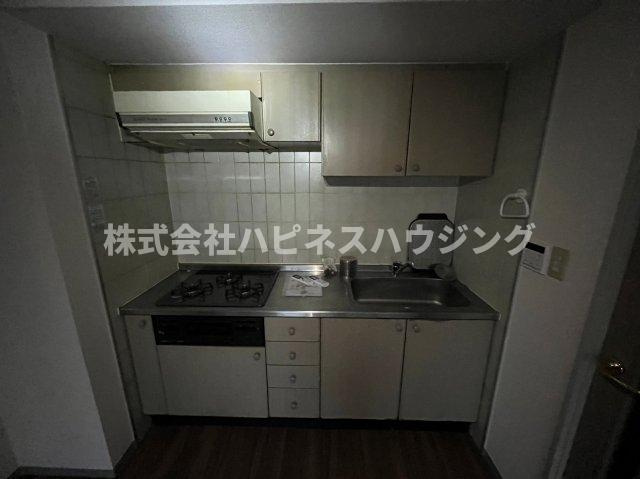 INSURANCE(インシュランス)BLDG.(ビルディング)ⅩⅣ(フォーティーン)北松戸のキッチン