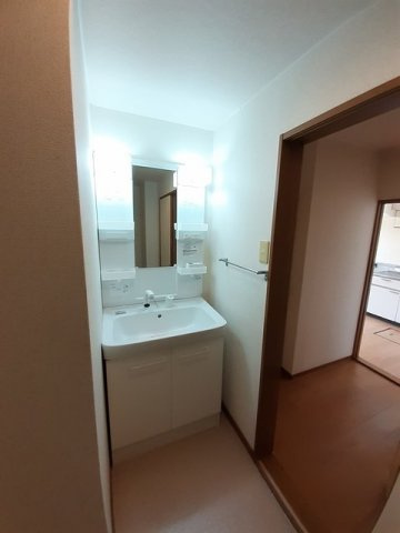 グレイトササイＤの洗面所