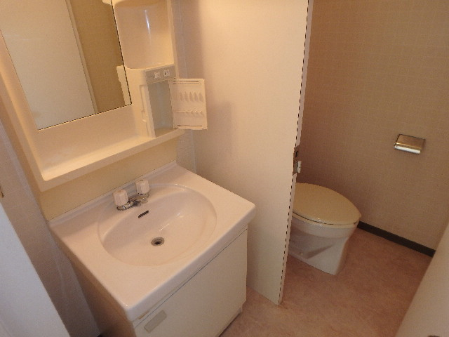 S1069R　大隅コーポラスの洗面所