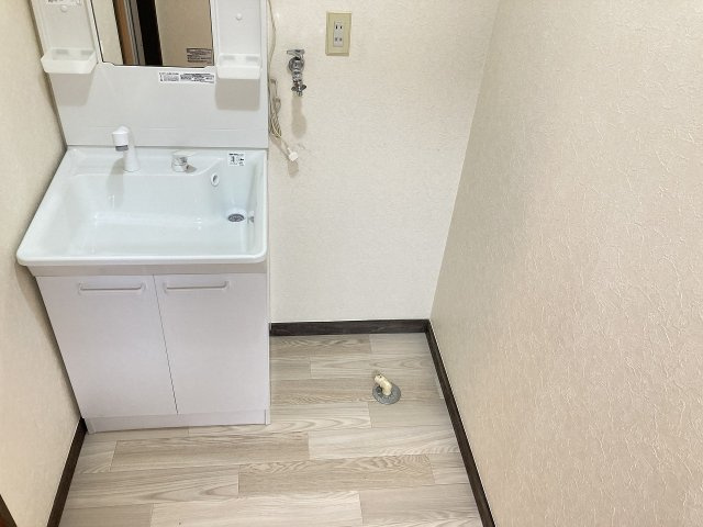 ヤマキチハイツ南の洗面所