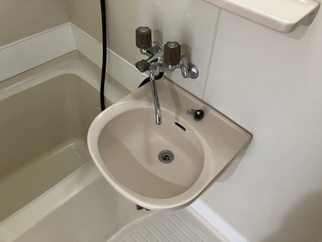 エステートピアの洗面所