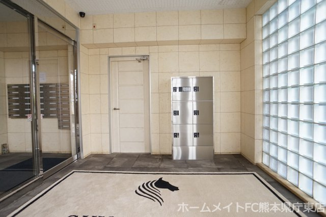 熊本市南区近見８丁目の賃貸マンションのエントランス