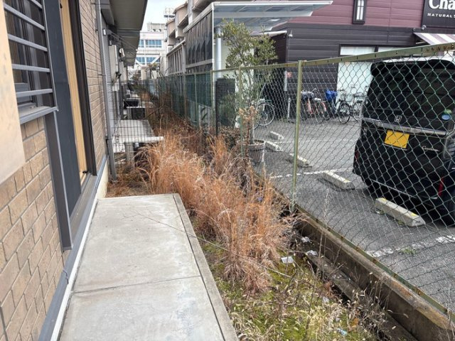 【庭】 | シャイニーパーク