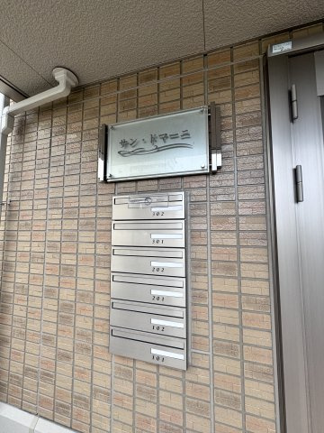 サン・ドマーニのその他