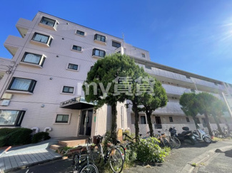【外観】 | ヴェルデューラ | ヴェルデューラ　板橋区成増