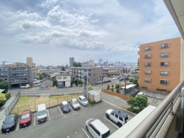 【展望】 | アイランド帯山けやき通り