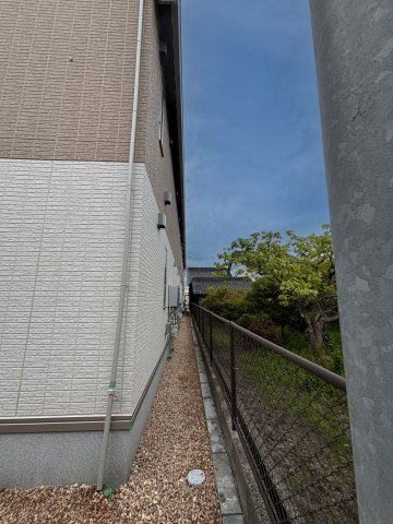 セレニテのその他