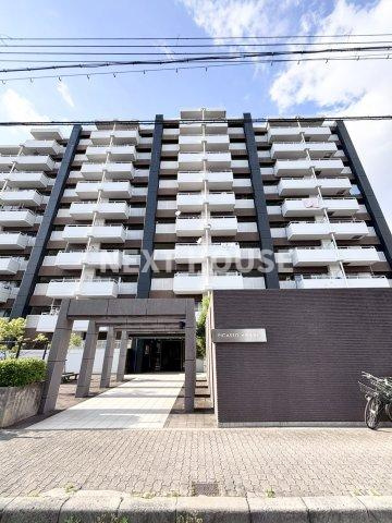 ピカソ平野