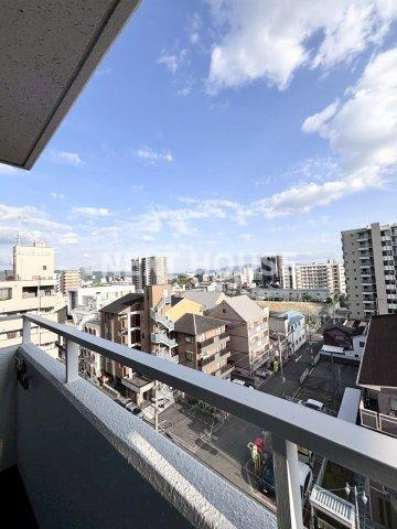 ピカソ平野の展望