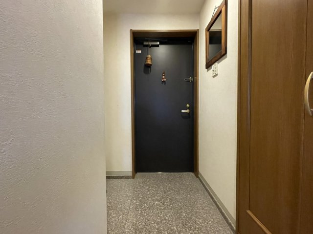 ダイアパレス松山駅西のその他|玄関です。