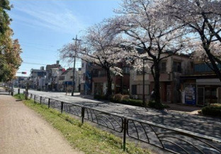 葛飾区お花茶屋２丁目の売地の前面道路含む現地写真|接面道路　反対車線からの眺め