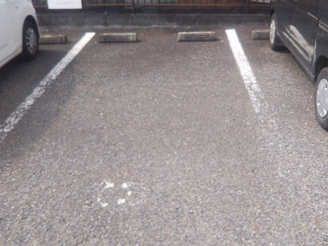 レオパレストレスのその他