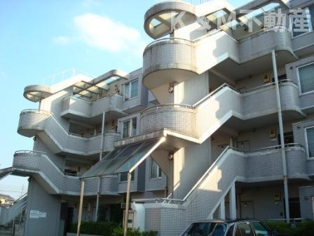 フラットサモアノ・北小金