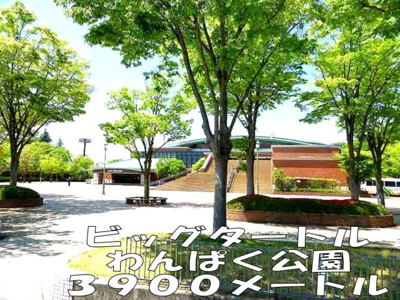 【周辺】 | ベル・セレーノＢ | ビックタートルわんぱく公園まで3900m