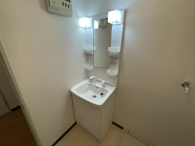 オアシスヤマナの洗面所