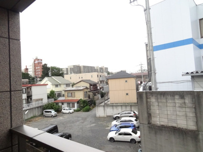  | ウィステリア