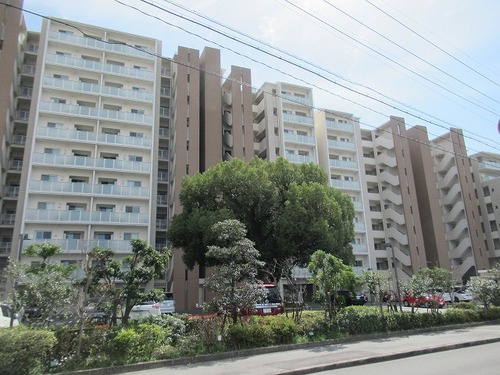熊本市中央区大江３丁目の賃貸マンションの外観