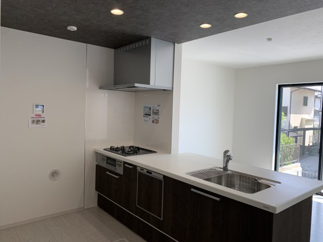 神戸市西区伊川谷町有瀬期　新築戸建のキッチン|食器洗い乾燥機付