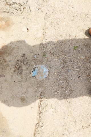 【売地】本宮市本宮字大森　　　まゆみ小学校・本宮第1中学校のその他|水道引込済！
