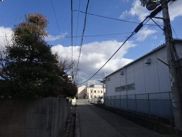 コンフォートメイアイⅡの展望
