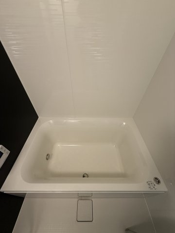 グランセジュール大国町の浴室