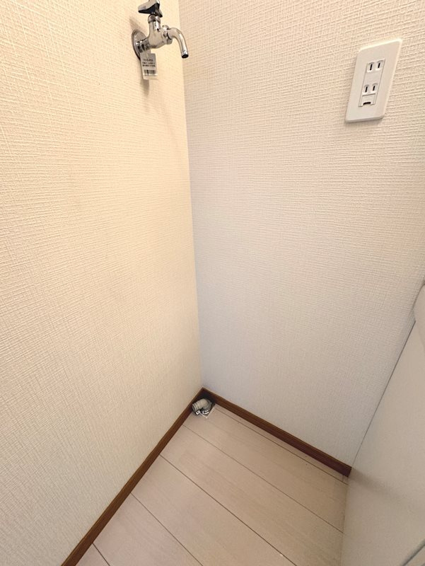 プレアデス2017【キャッシュバック対象物件】の洗面所|広い洗面スペース