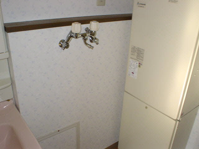 シャルム壱番館の洗面所