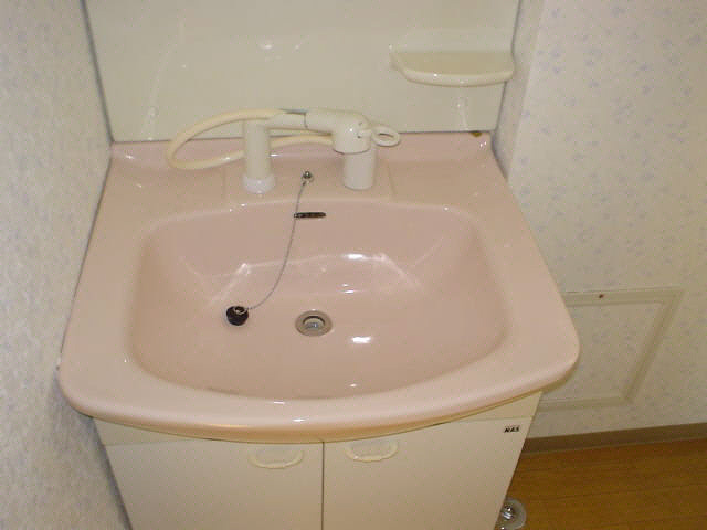 シャルム壱番館の洗面所