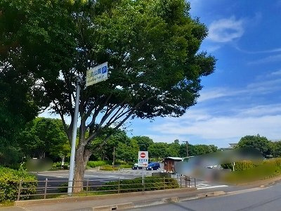 シャイン　ウェーブ　Ａの周辺|花島公園まで1590m