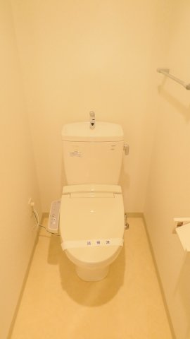 大阪市西区南堀江３丁目の賃貸マンションのトイレ