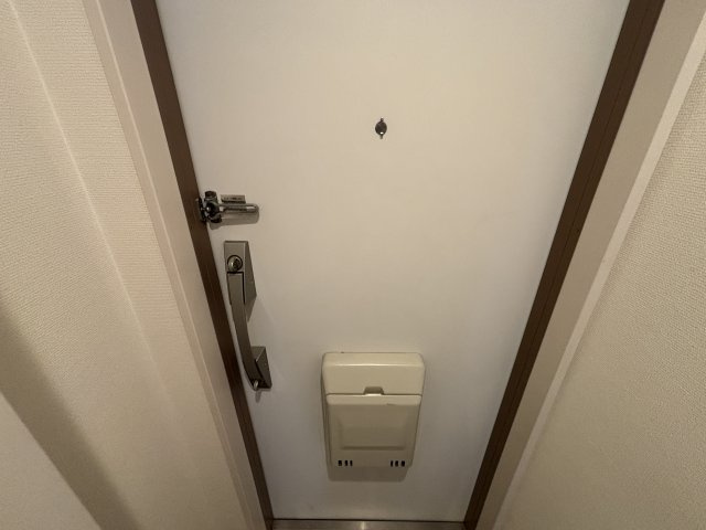 リブリ・ピーノ岩槻の玄関|収納もある玄関です