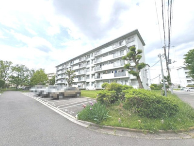 【外観】 | 浅香山住宅２６号棟 | 築年数は経過していますが、手入れの行き届いた植栽や清掃状況は、管理体制の良さの証です。