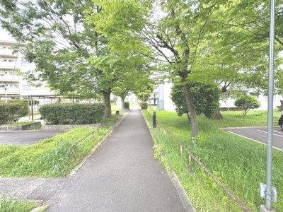 【中庭】 | 浅香山住宅２６号棟 | 古き良き公団を再生。日当たり・風通し良好なヴィンテージ空間を創るのにもってこいです。