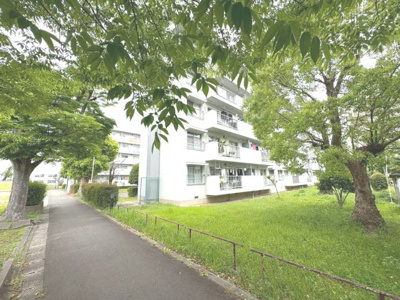 【設備】 | 浅香山住宅２６号棟 | 朝のお散歩が気持ちいい木漏れ日のある歩道です。生活至便でこの緑豊かな環境は嬉しいですね。