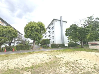 【周辺】 | 浅香山住宅２６号棟 | 日当たり・通風は良好です。緑豊かな敷地内で、静かな暮らしが叶います。