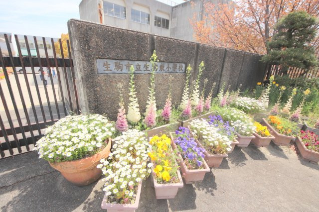 コーポ五風の周辺|小学校「生駒市立生駒東小学校まで981m」