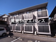 ヒルズヤマカノウの画像
