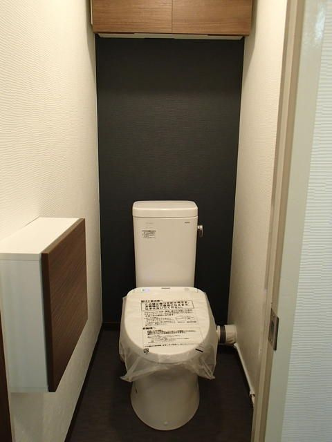 ドミール蓮根のトイレ