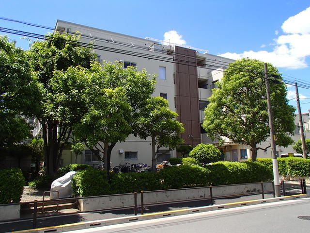 ドミール蓮根