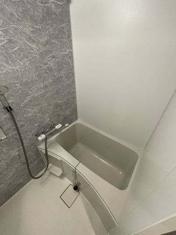 S-RESIDENCE難波大国町Deuxの浴室