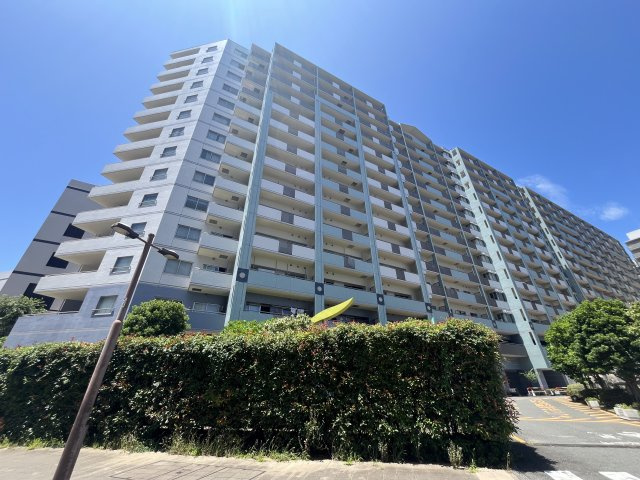 横須賀汐入ハイム1号棟 11階部分の画像