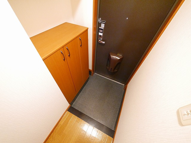 プランドールソフィアの玄関|毎日通る玄関はこちらです